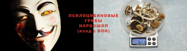 a pvp Аркадак