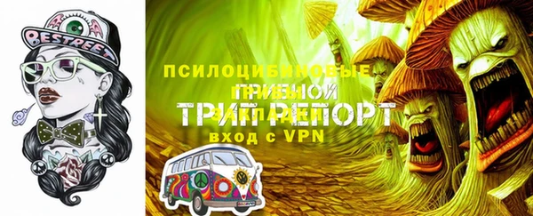 a pvp Аркадак
