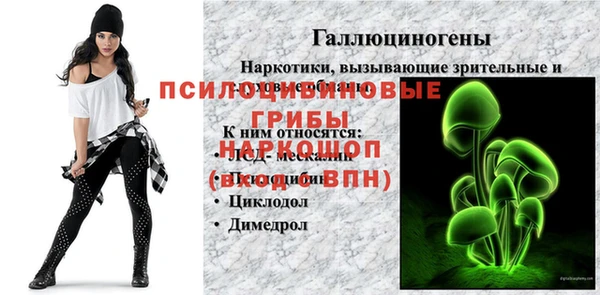 spice Арсеньев