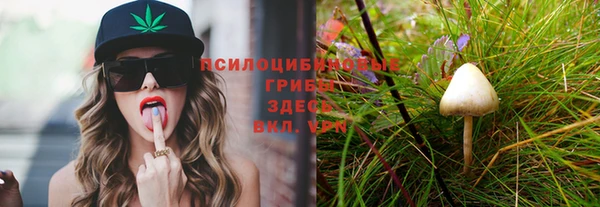 спайс Армянск