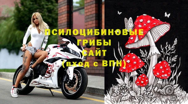 spice Арсеньев