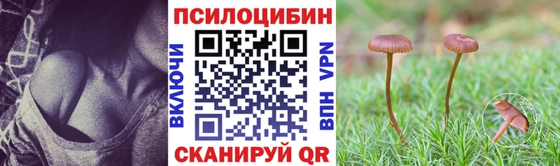 Псилоцибиновые грибы Psilocybine cubensis  Октябрьск 